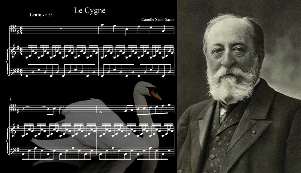 Le Cygne By Camille Saint-Saens