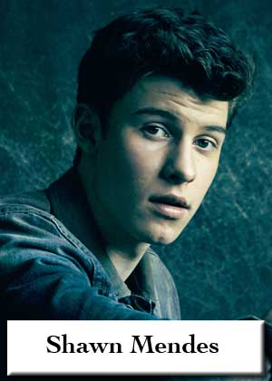Shawn Mendes with sheet music in PDF