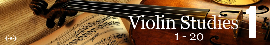 Violin Studies Main Banner